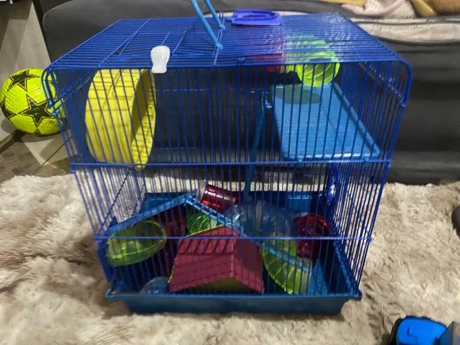 Gaiola para hamsters 