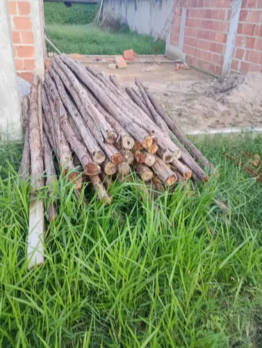 Vendo pau de escora