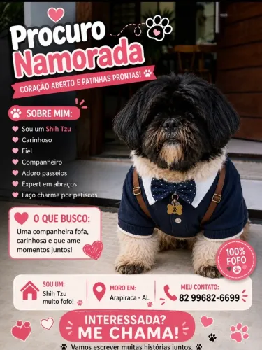 Shih tzu