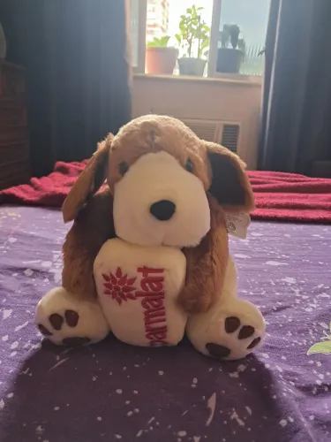 Cachorro Parmalat
