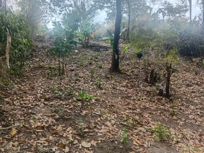 Terreno preço abaixo do mercado