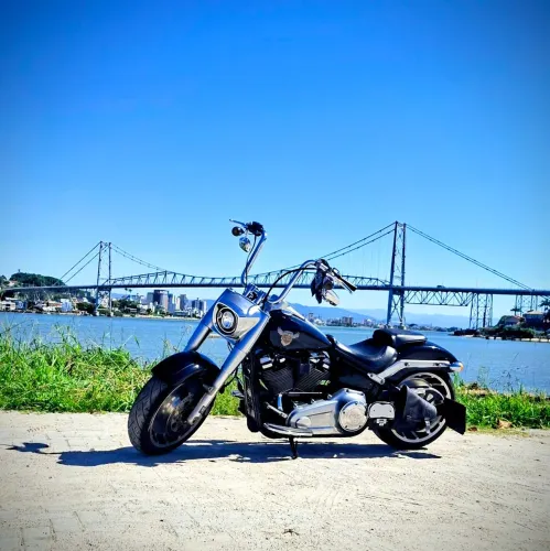Harley davidson fat boy