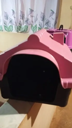 Casinha de cachorro/gato