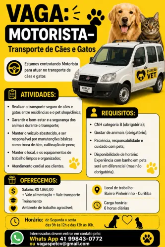 Motorista de cães e gatos