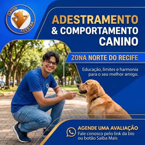 Adestrador de cães