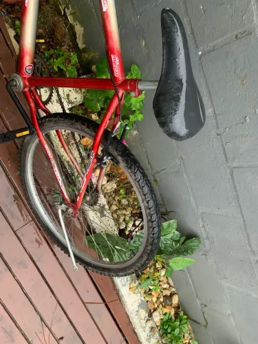 Bicicleta