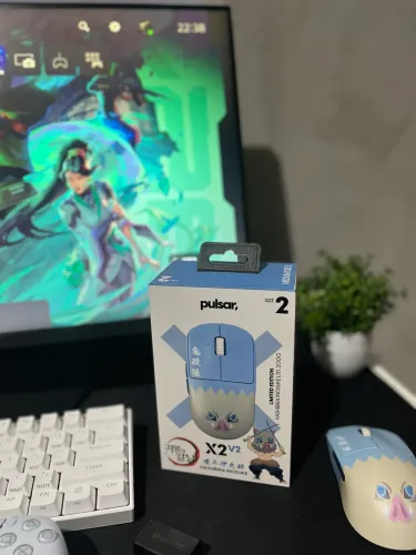 Mouse Gamer