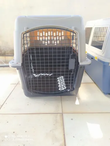 Casinha de cachorro para transporte aéreo/ Caixa de transporte N° , Padrão aviação