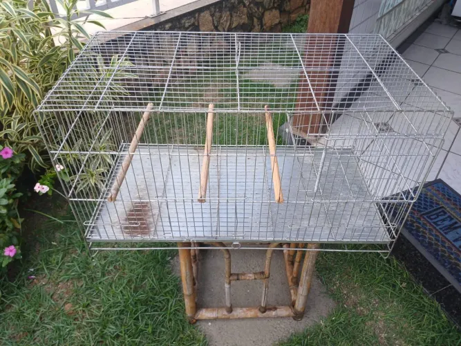 VENDO GAIOLA