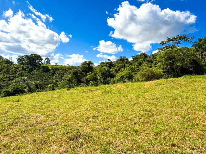 Terreno em condomínio arborizado com 481,76 m² e vista livre para venda