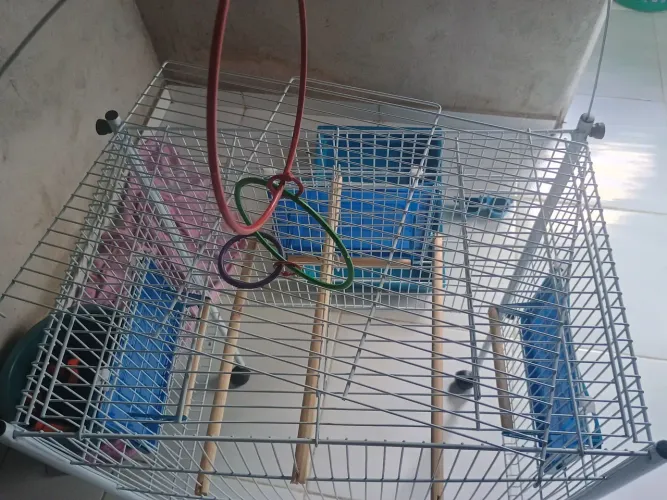 Gaiola triplex