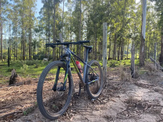 mountai bike sense