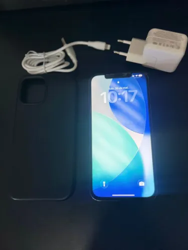 iPhone 12 Pro Max 256gb cinza