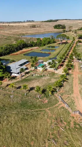 FAZENDA À VENDA EM PIRACANJUBA/GO | 45 ALQUEIRES | 41 ALQUEIRES PLANTANDO