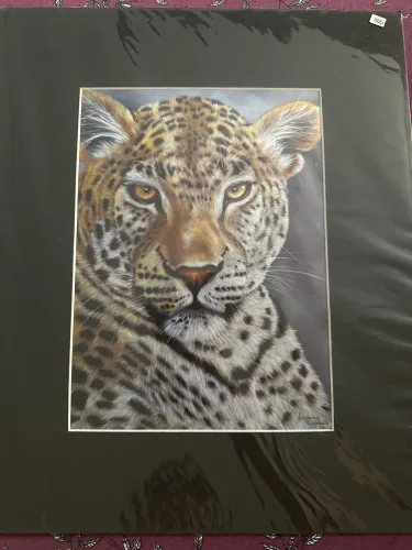 Quadro Cheetah Africana 