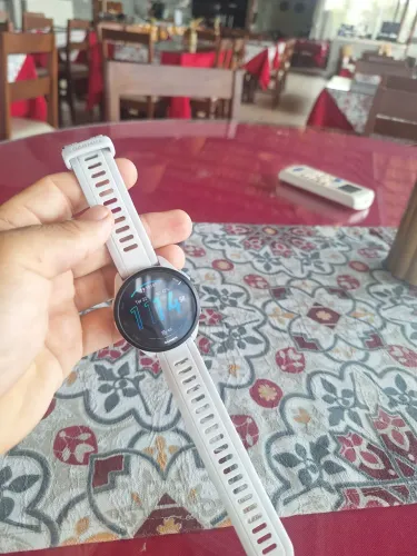 Garmin 165 music