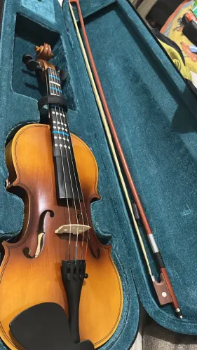 Violino