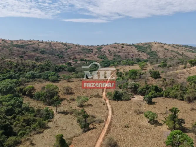 Fazenda 273 Alqueires (1.321 Hectares) Cocalinho de Goiás - GO