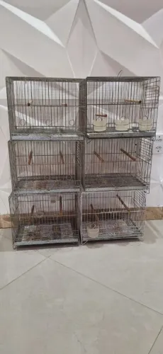 Gaiolas