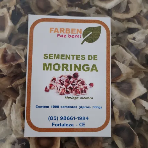 1000 Sementes de Moringa oleifera pra plantio