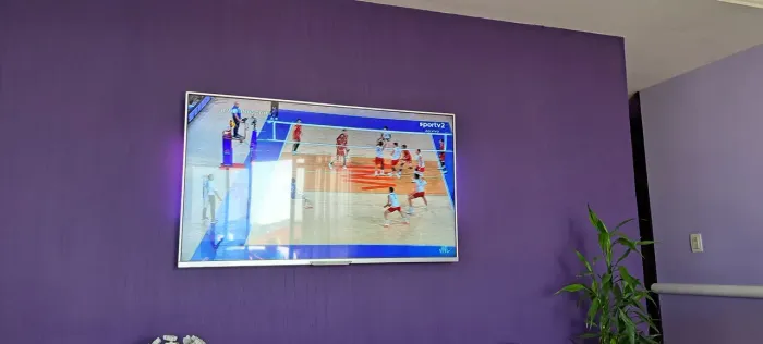 Televisão