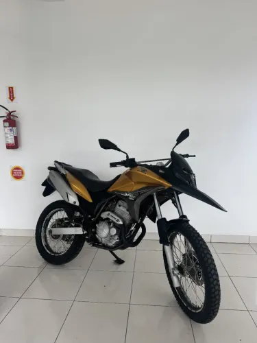 XRE 300/ 300 ABS/ FLEX