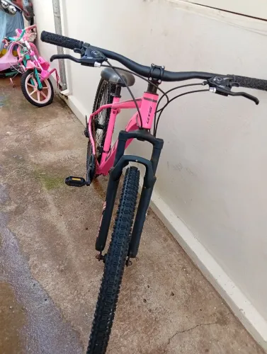 Bicicleta adulto