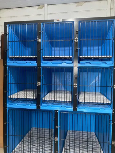 Canil / Gaiola Pet Kennel Azul Atacama