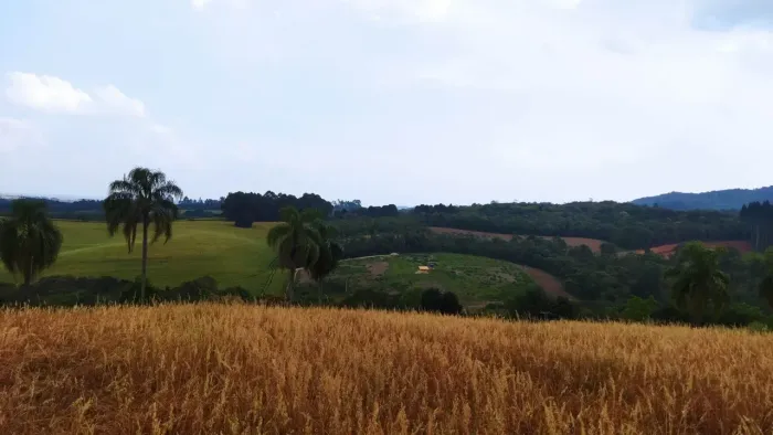 4 hectares.Vista deslumbrante 300º do alto região Bugre, vista p/ Cristo Serra São Luiz do