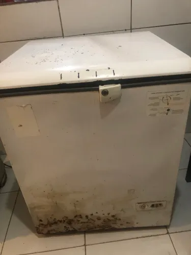 Frizzer horizontal um porta cônsul