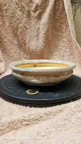 Vaso Onodera Oval Alta Temperatura Bonsai Cerâmica
