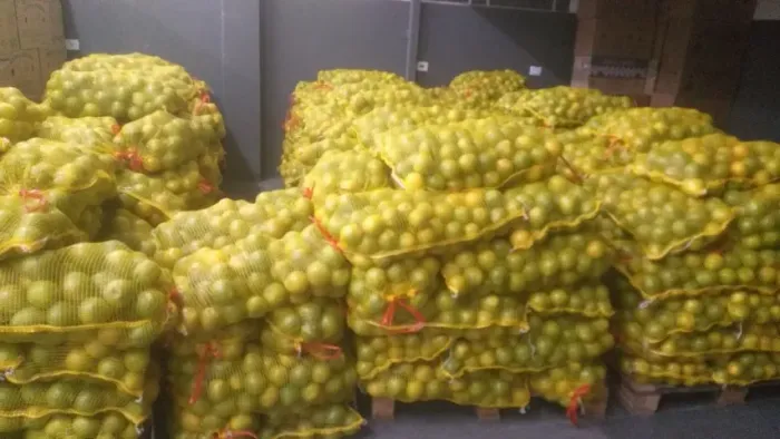Laranjas para Suco - Atibaia x Terra Preta SP