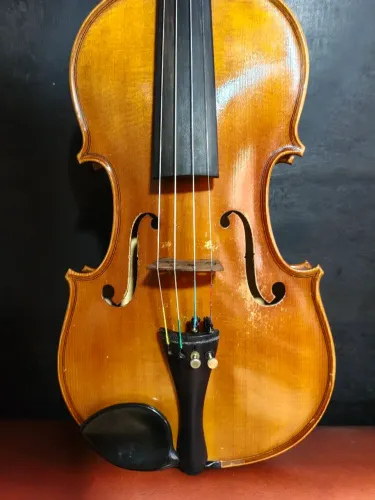 Violino Karl hofner 