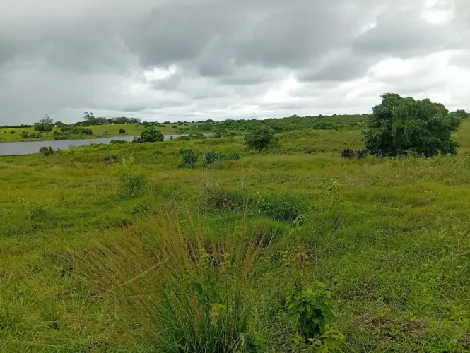 Fazenda/sitio produtivo- Caja Paiba