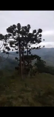 Fazenda 79 Hectares Piranguçu MG <br>