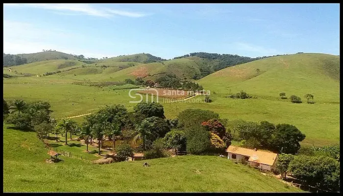 FAZENDA LEITE/CORTE - MELHOR VÁRZEA DA REGIÃO - SILVEIRAS -