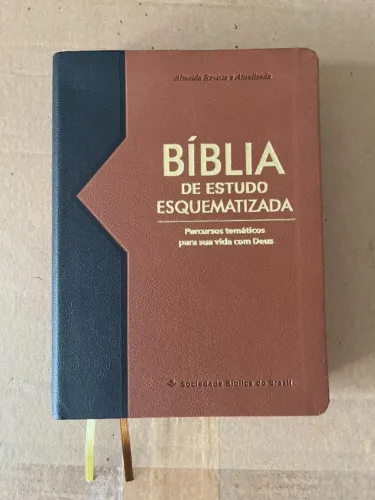Biblia de Estudo esquematizada + Brinde Quem e quem na Biblia sagrada