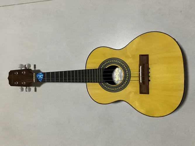 Cavaquinho Rozini RC10.EL.F.I Elétrico Caixa Larga - Seminovo