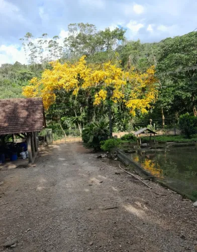 Chácara pirabeiraba