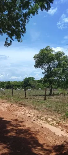 Fazenda 180 Alqueires em Paranã-TO Dupla Aptidão