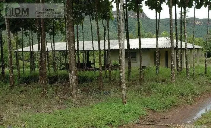 Fazenda de reflorestamento com 209 ha em Lageado - RS