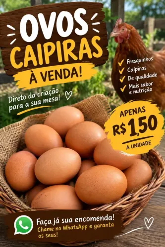 Ovos caipiras ricos em proteina