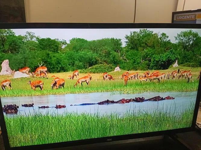 Tv aoc 32 polegadas