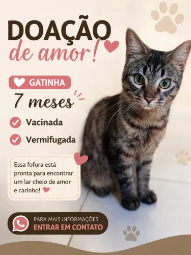 Doação do amor