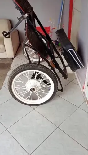 Charrete aro 21