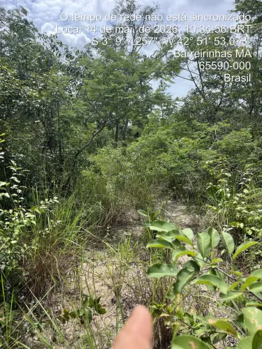 Vende-se fazenda com 700 hectares 100% plana