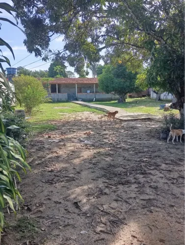 Vendo chácara em Satuba