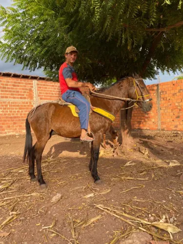 Vendo cavalo