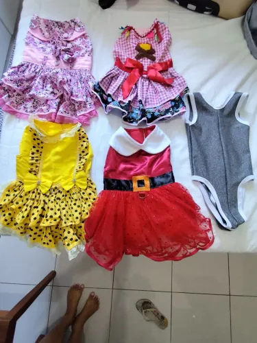 Vendo vestidos pet