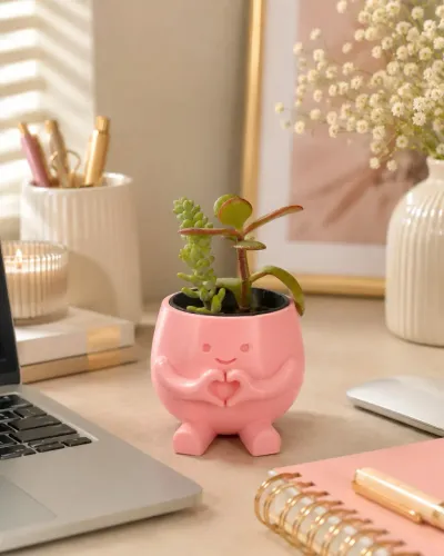 Vaso Coração para Suculenta
